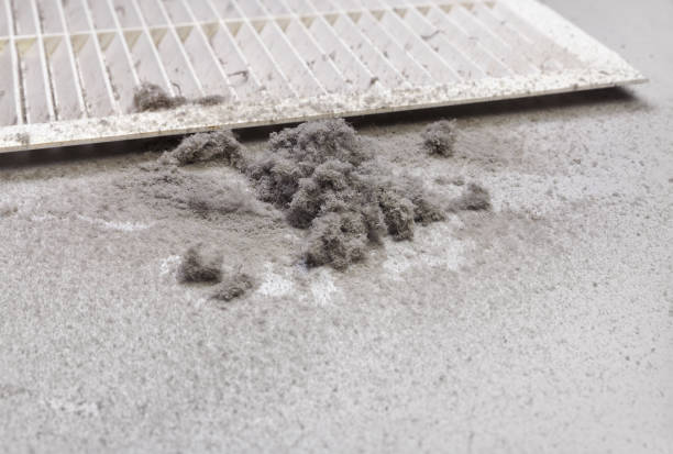 Best Local Air Duct Cleaning Services  in Lake Hamilton, FL